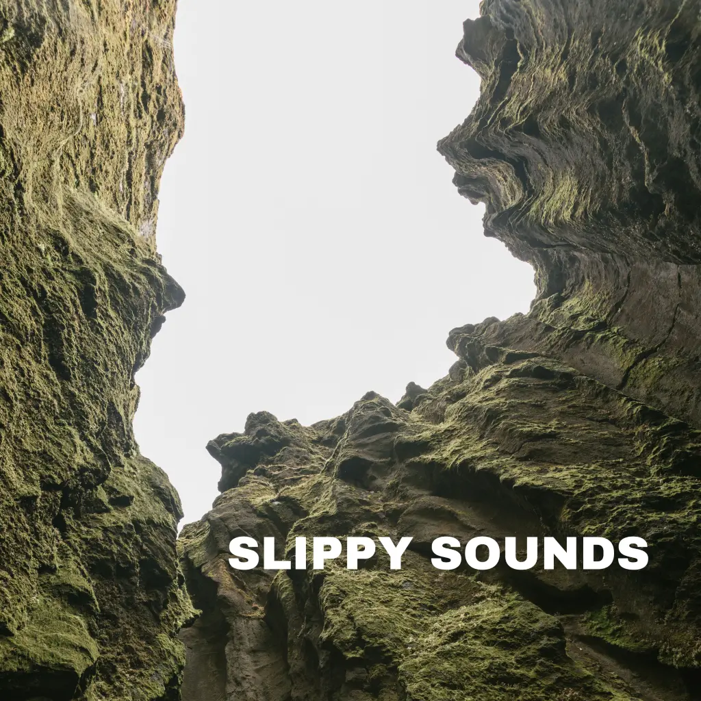 Cover photo for the show: Slippy Sounds